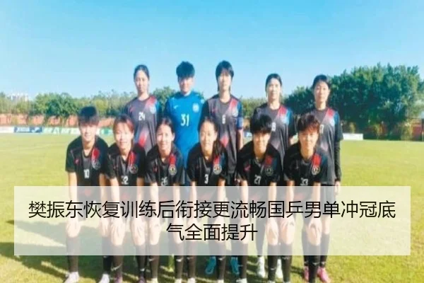 樊振东恢复训练后衔接更流畅国乒男单冲冠底气全面提升